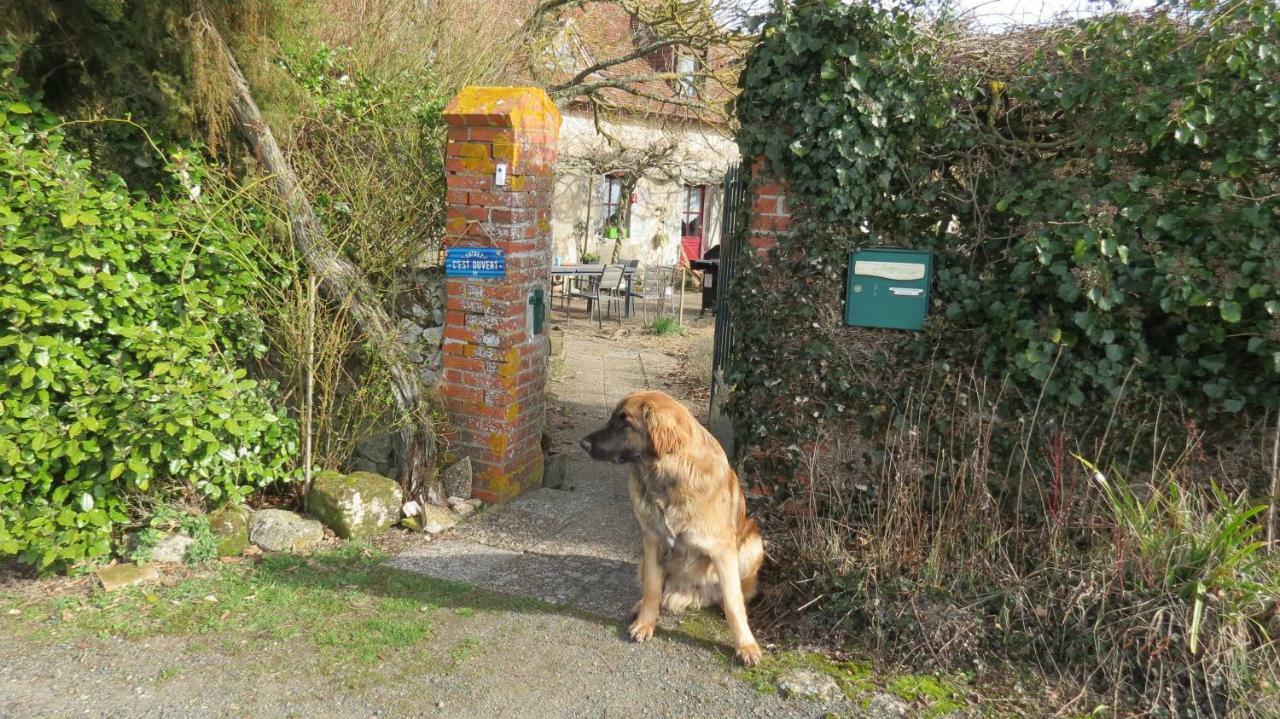 La Fosse Seche Bed and Breakfast Dolus-le-Sec Exteriör bild